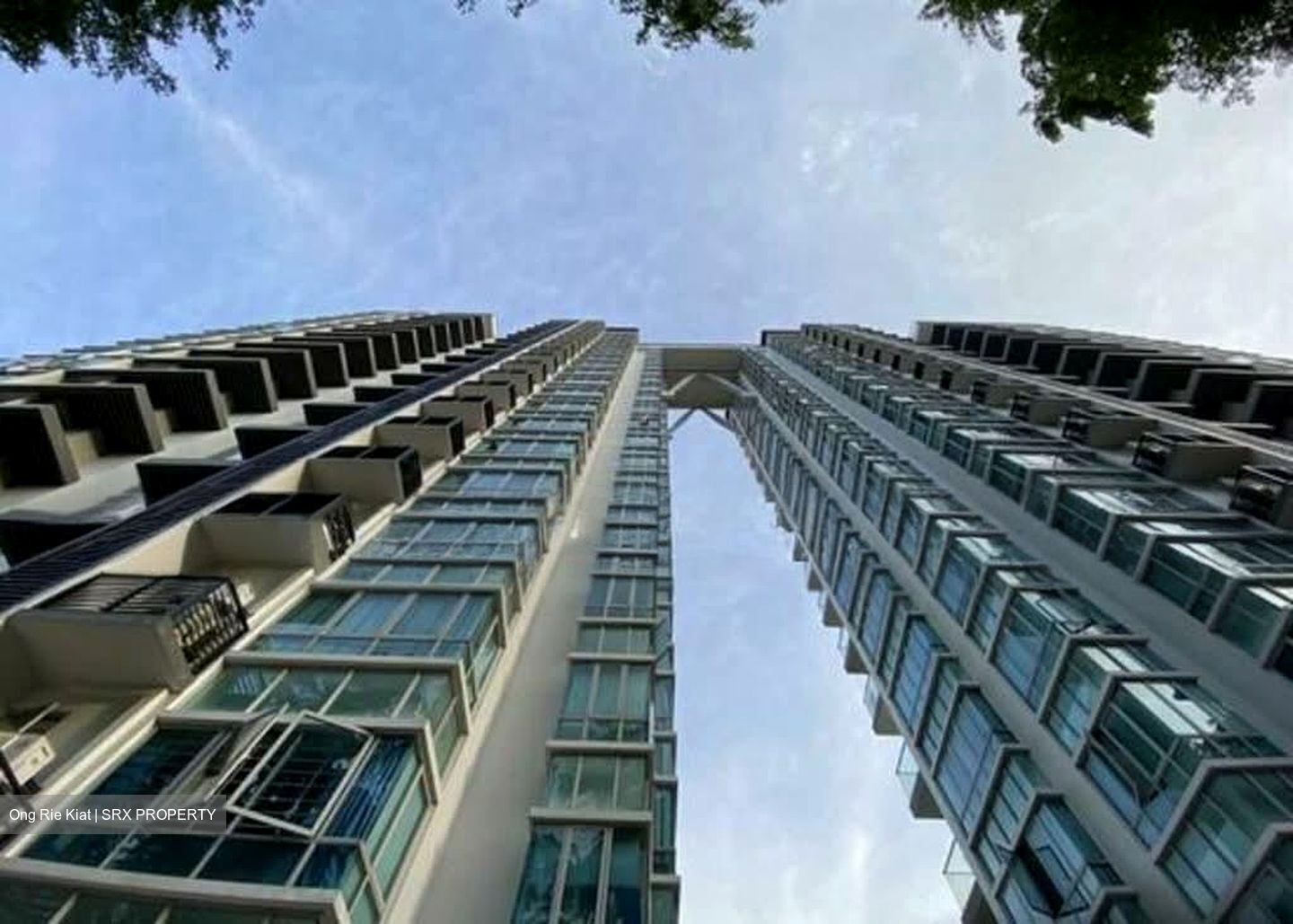 Esta Ruby (D14), Apartment #561504231